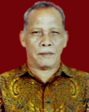 Robby J. Manurung