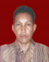 Andi Amir Hasan Jaya